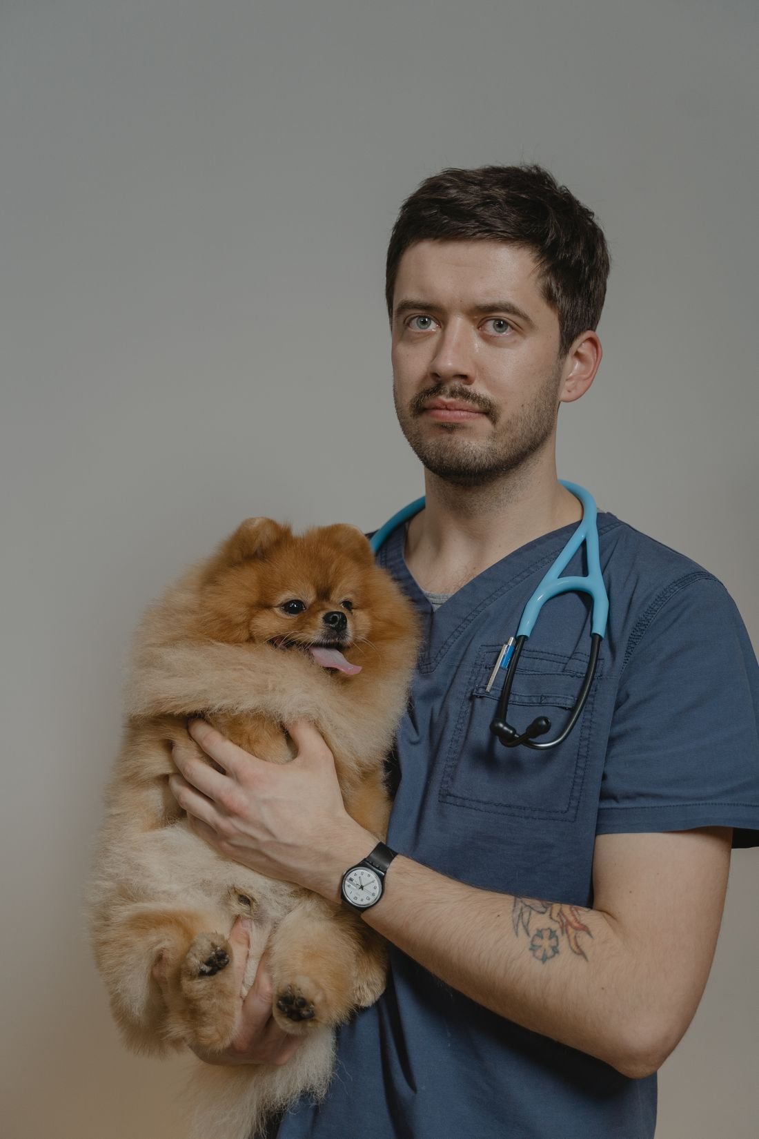 Veteriner hekim ve sevimli bir pomeranian